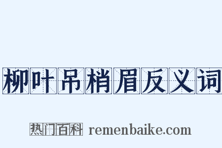 柳叶吊梢眉反义词是什么意思的图片